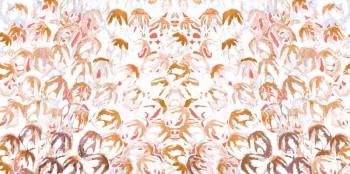 c9135000e1ff23cfa99be6c07e5ce486