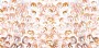 c9135000e1ff23cfa99be6c07e5ce486