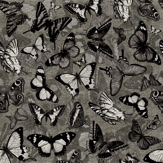 Fototapeta Wall & Deco Contemporary 2015 Catch Me WDCM1502