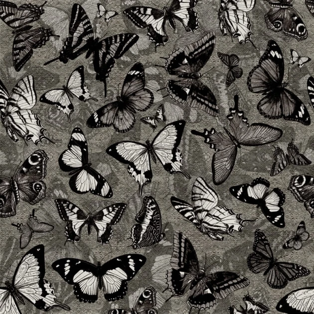 Fototapeta Wall & Deco Contemporary 2015 Catch Me WDCM1502