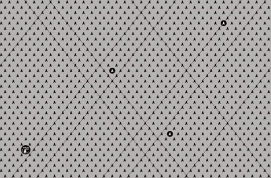 Fototapeta Wall & Deco Contemporary 2015 White Fly WDWF1502