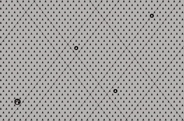 Fototapeta Wall & Deco Contemporary 2015 White Fly WDWF1502