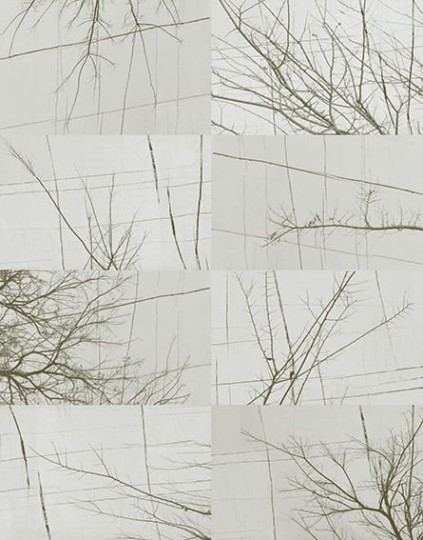 Fototapeta Wall & Deco Contemporary 2017 Bois D'hiver WDBH1702