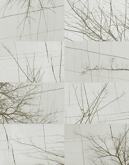 Fototapeta Wall & Deco Contemporary 2017 Bois D'hiver WDBH1702