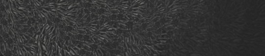 Fototapeta Wall & Deco Contemporary 2017 The Dark Side WDDS1701