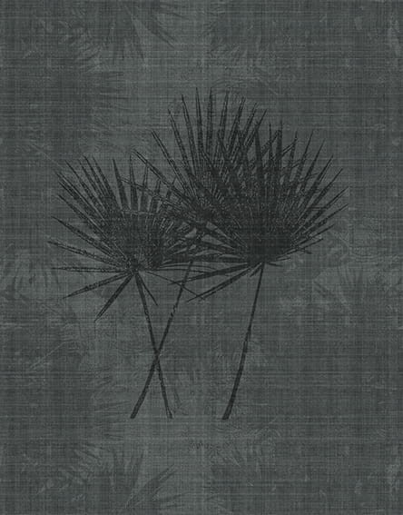 Fototapeta Wall & Deco Contemporary 2017 Oasis WDOA1703