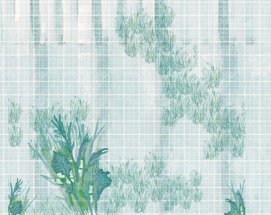 Fototapeta Wall & Deco Contemporary 2017 Quad WDQU1701
