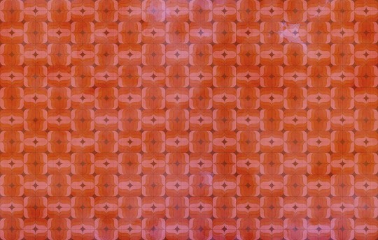 Fototapeta Wall & Deco Contemporary 2018 1977 WD771803