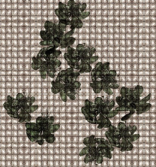Fototapeta Wall & Deco Contemporary 2018 AKOS WDAK1801