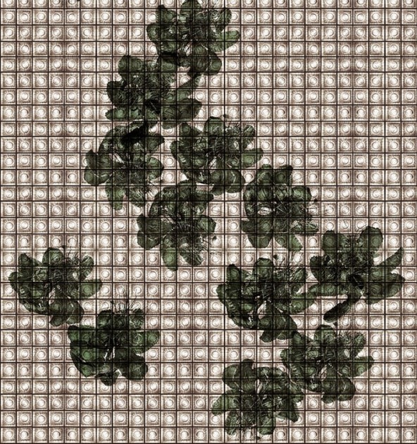 Fototapeta Wall & Deco Contemporary 2018 AKOS WDAK1801