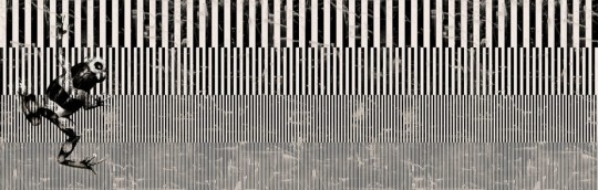 Fototapeta Wall & Deco Contemporary 2018 BESTIARIVM WDBE1802
