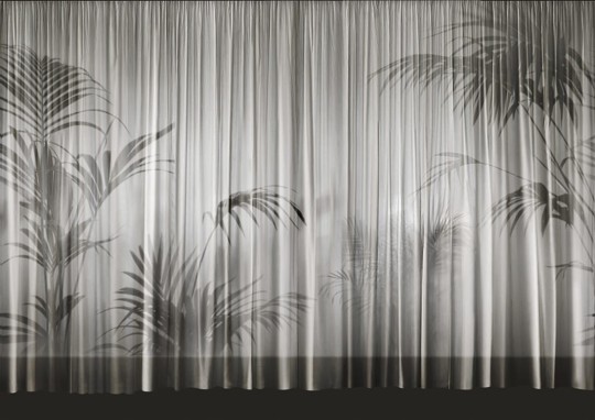 Fototapeta Wall & Deco Contemporary 2018 ELISIR WDEL1802