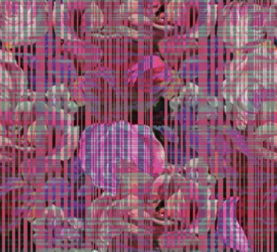 Fototapeta Wall & Deco Contemporary 2018 SHOCKING WDSH1801