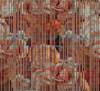 2b76a36cdc540839fecfae9dc6b23ca7