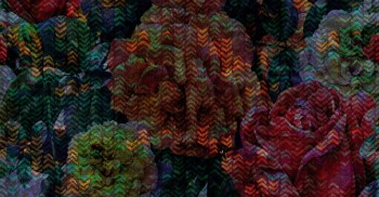 1e0392bf62e59db45f737eb462459009