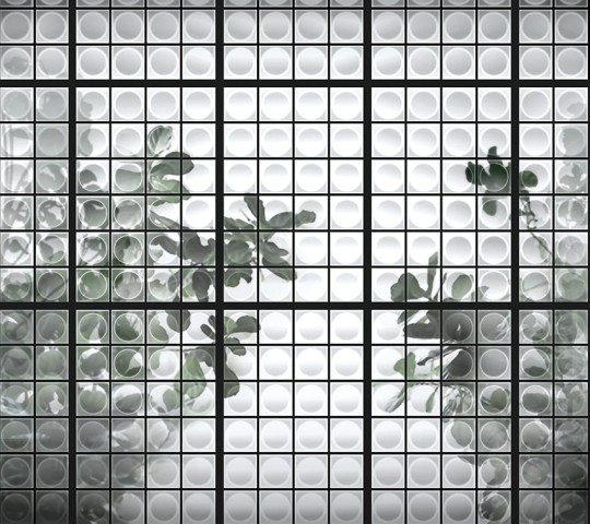 Fototapeta Wall & Deco Contemporary 2019 Du Jour WDDJ1901