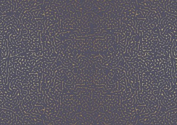 669d9272da423c5d6ee131e9f63f5837