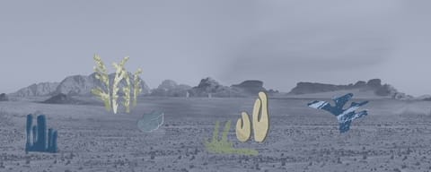 Fototapeta Wall & Deco Contemporary 2020 Desert Botanica WDDB2002