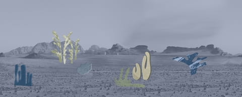 Fototapeta Wall & Deco Contemporary 2020 Desert Botanica WDDB2002