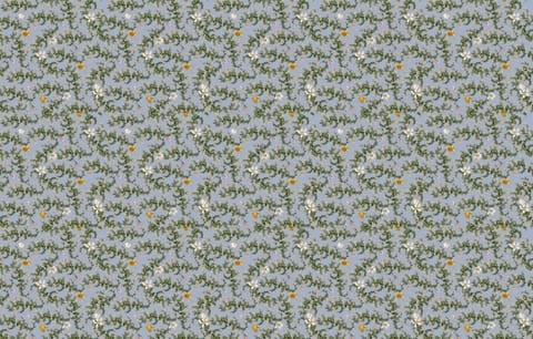Fototapeta Wall & Deco Contemporary 2020 Jardin D'Hiver WDJH2001