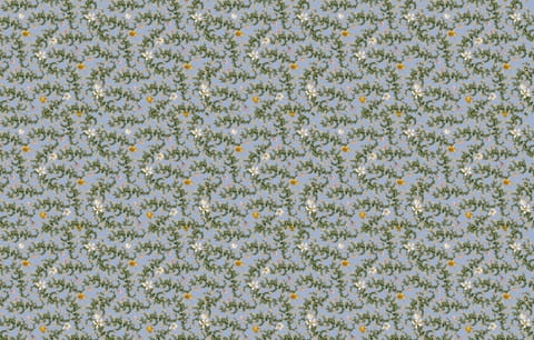 410fb207eb1eb09e18f8a8ae5fc5ffa1