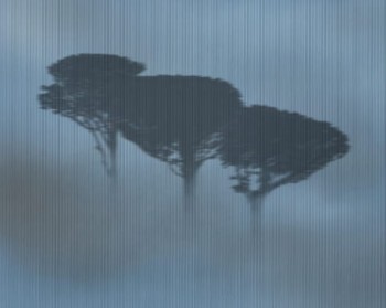 fd0dcec6be1c83fb3ac61520e174d41e