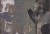 8222c9c1ed1490cfcfbe169b7dab10b3