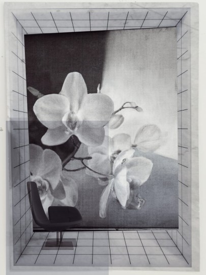 Fototapeta Wall & Deco Contemporary 2020 Lyric WDLY2002