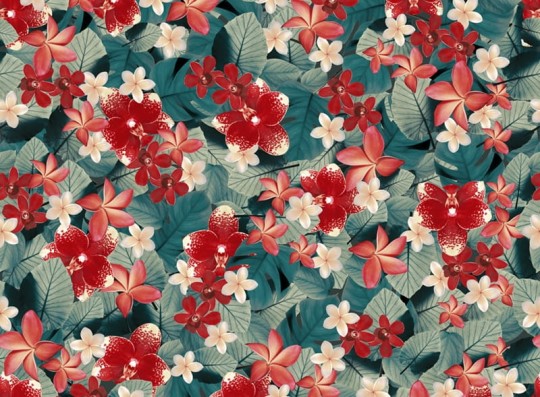 Fototapeta Wall & Deco Anniversary Tropics Reloaded WDAN15TO