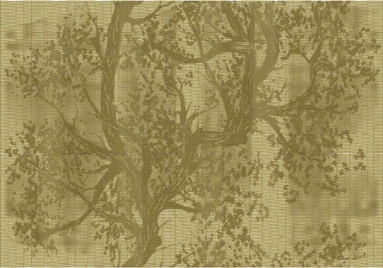 Fototapeta Wall & Deco OUT SYSTEM 2019 WOODPECKER OUT_WP1902