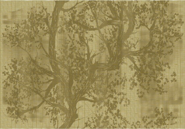 Fototapeta Wall & Deco OUT SYSTEM 2019 WOODPECKER OUT_WP1902