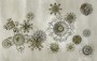 7be470b3bce591dc0de910e954e07d83
