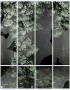 258c75450ae620111ee8c7c7cb5863a3