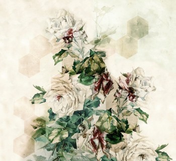 f835872540faf8296f360a384e07db4c