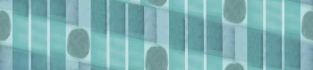 110c4e7db04bf3cb057d7dfa1d36ec81