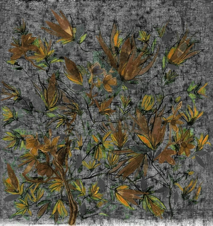 221f526ea5fc3b0f655dc2199e742551