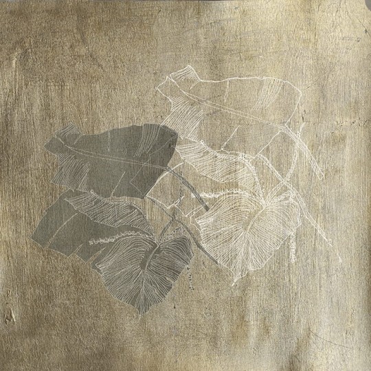 Fototapeta Wall & Deco WET SYSTEM 2019 BIOPHILIA WET_BI1901