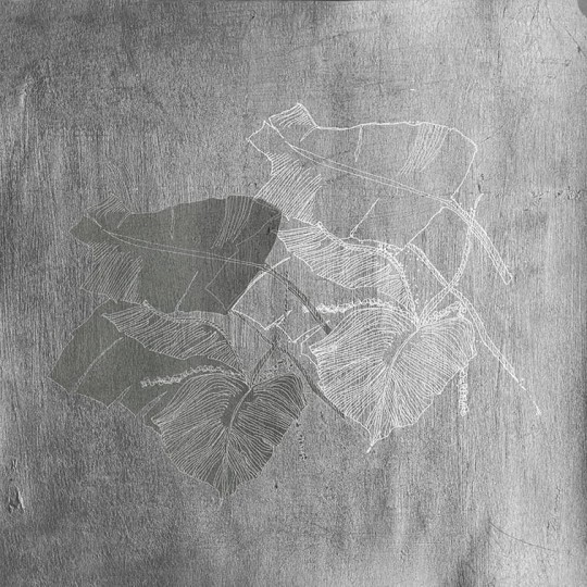 Fototapeta Wall & Deco WET SYSTEM 2019 BIOPHILIA WET_BI1902