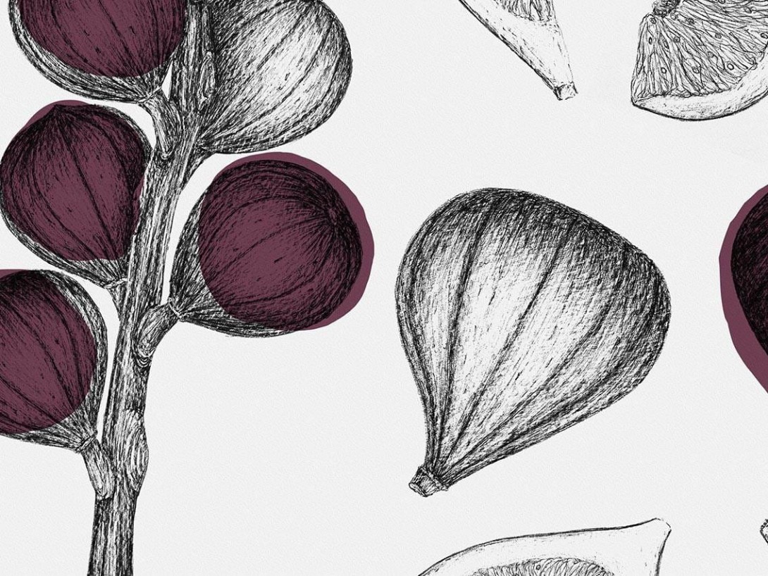 Fototapeta Wallpepper Ficus Carica