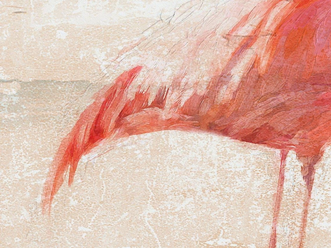 Fototapeta Wallpepper Flamingos party