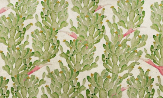 Fototapeta Wallpepper Cactus dream