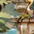 3d3bd75064ecc0cb1a795e60bb2cc667