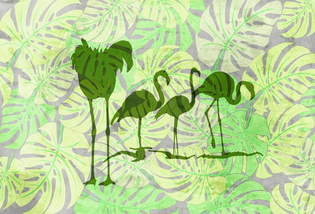 Fototapeta Wallpepper Wild Flamingos