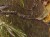 829c6bd3615b6e6b7f96a8fc5baf78d7