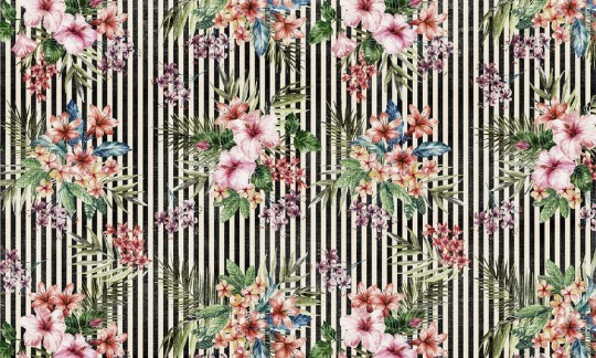 Fototapeta Wallpepper Tipical tropical