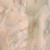 34127c946ca22de1b37b1d42a3214bdb