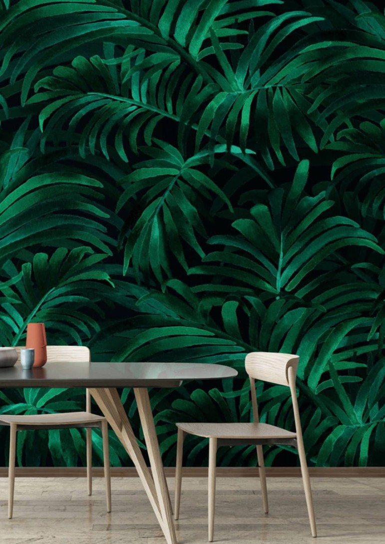 Fototapeta Wallpepper Palm plethora