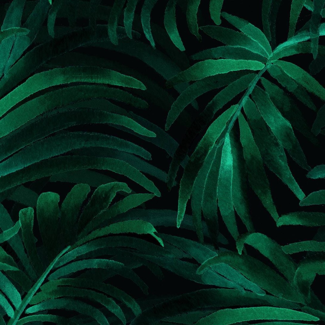 Fototapeta Wallpepper Palm plethora