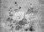 fe4022429ef433047cd46c520ece8cef