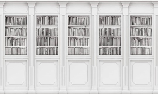 Fototapeta Wallpepper Bookcase